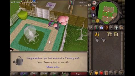 A garden pie is a pie found in Old School RuneScape that can be baked with the Cooking skill at level 34. . Osrs farming boost